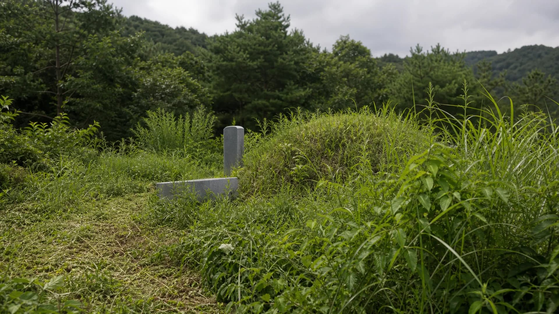 성묘 전 산소 벌초와 진입로 정리 작업 전